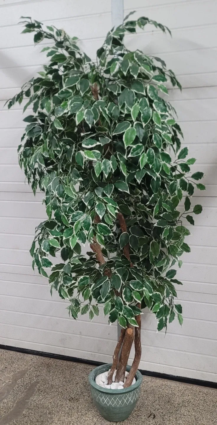 Artificial Ficus Tree in Pot - photo 2