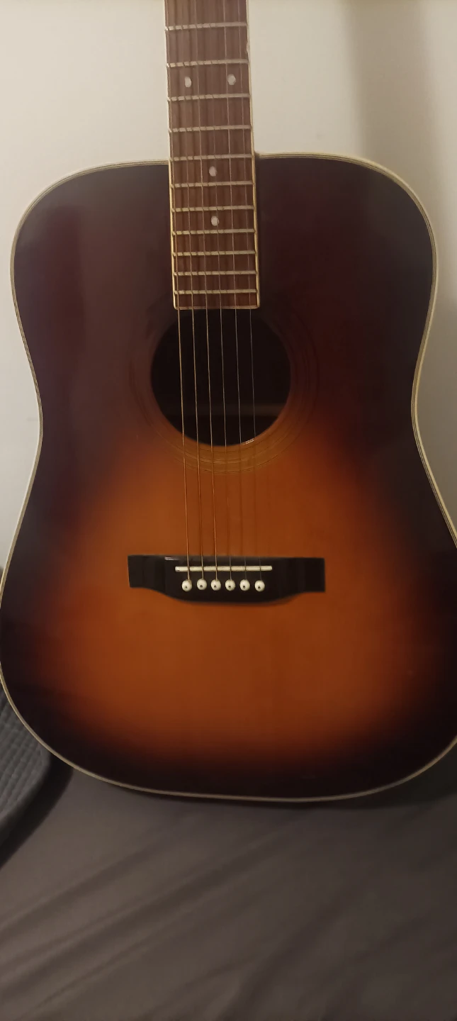 Mann Acoustic Guitar