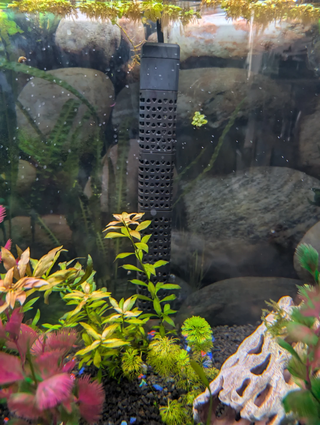 Curved Front Aquarium with Stand - photo 2