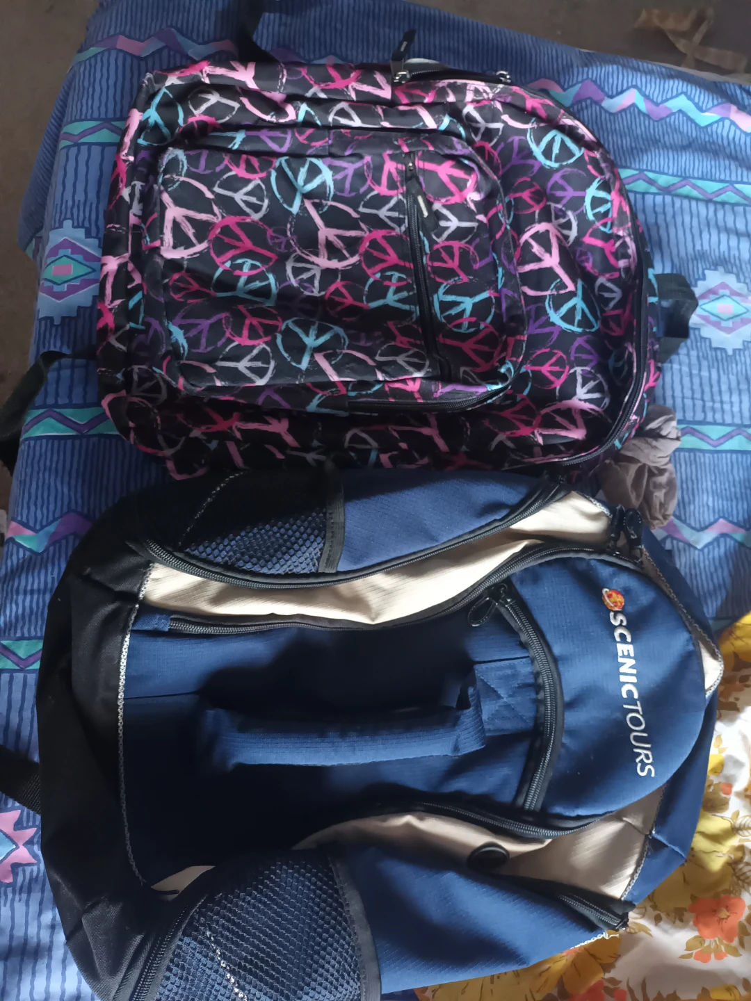 Backpacks - Peace Sign & Blue Scenic Tours