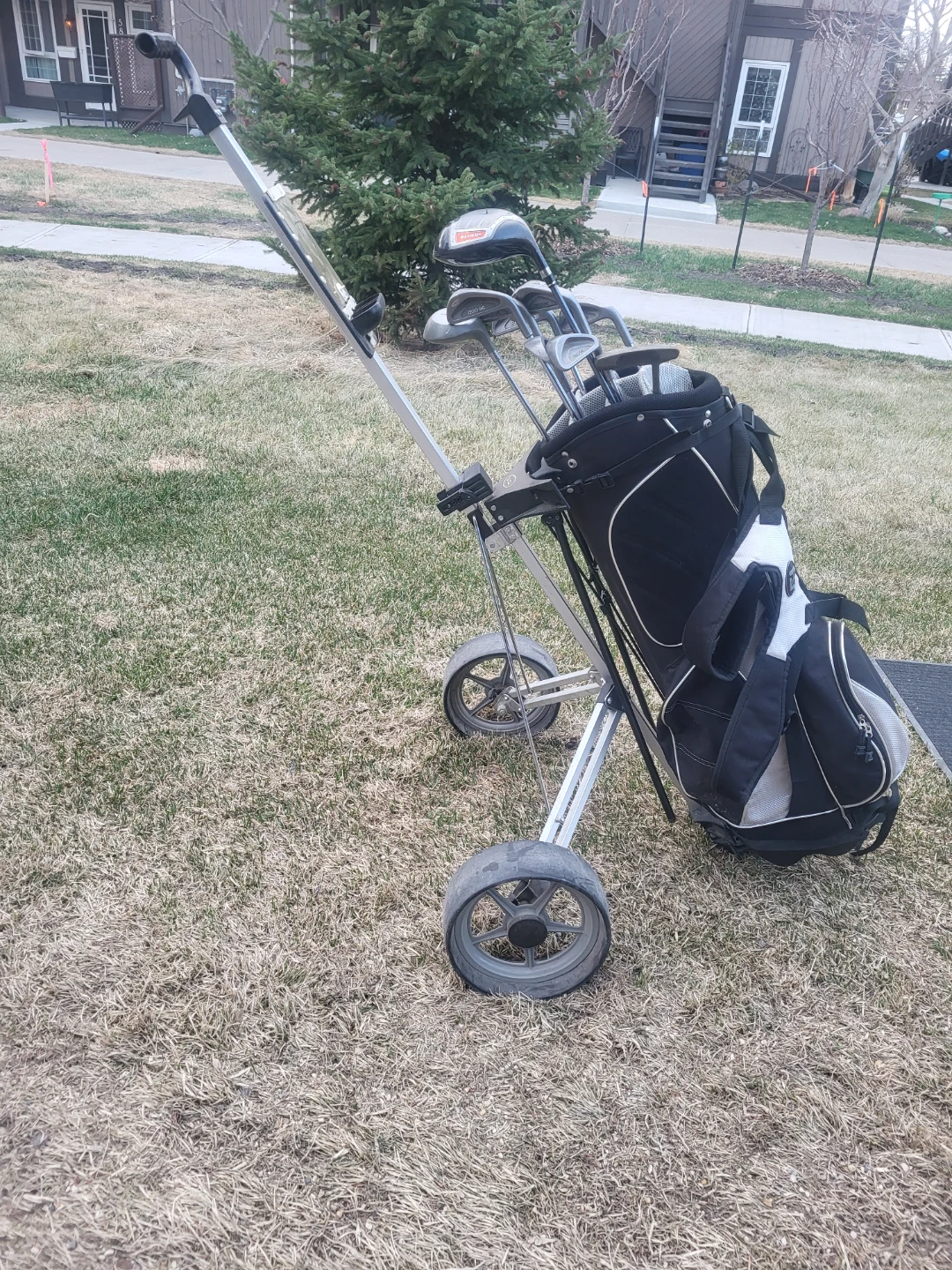 Golf Club Set with Bag and Push Cart