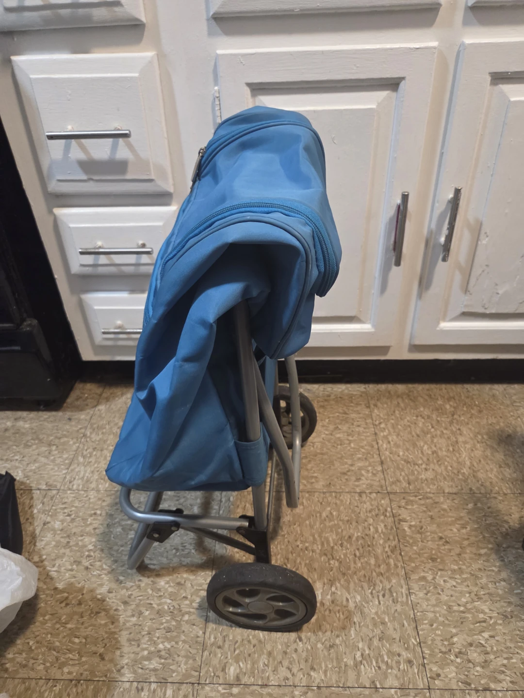 Whole Foods Insulated Rolling Shopping Cart