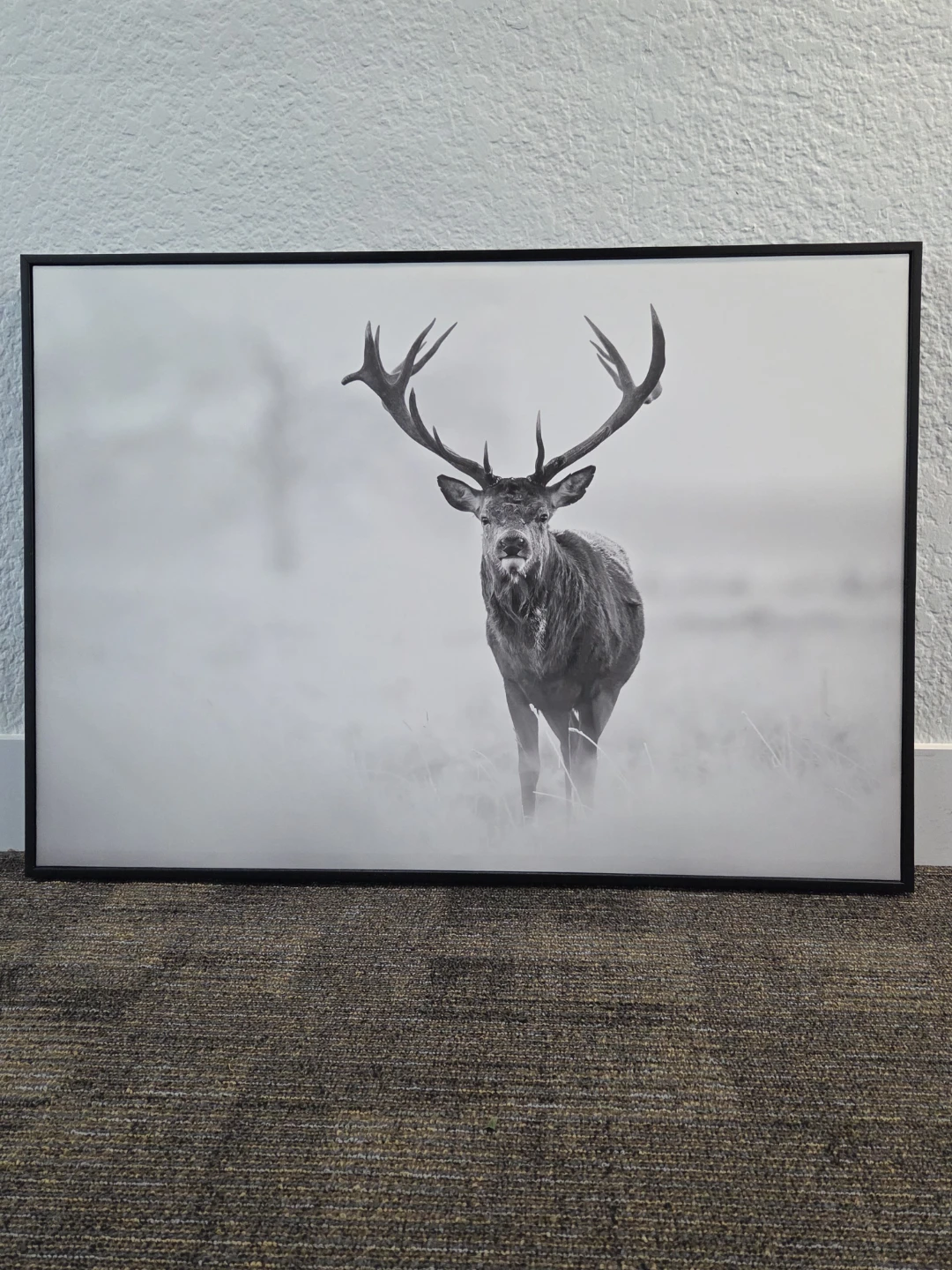 Framed Black and White Stag Wall Art
