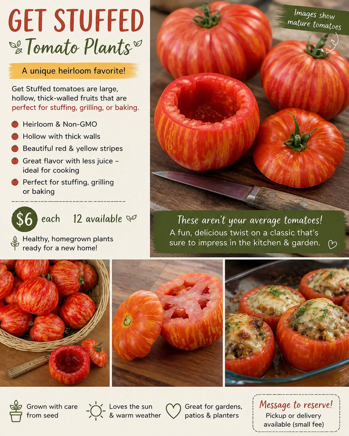 Get Stuffed Tomato Plants