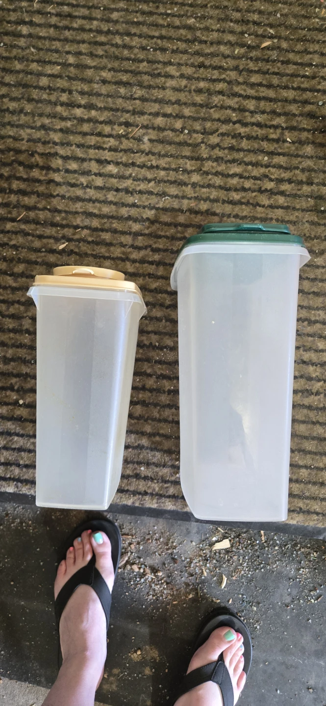 Tupperware Storage Containers - Set of 2