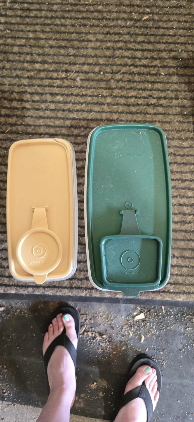 Tupperware Storage Containers - Set of 2 - photo 2