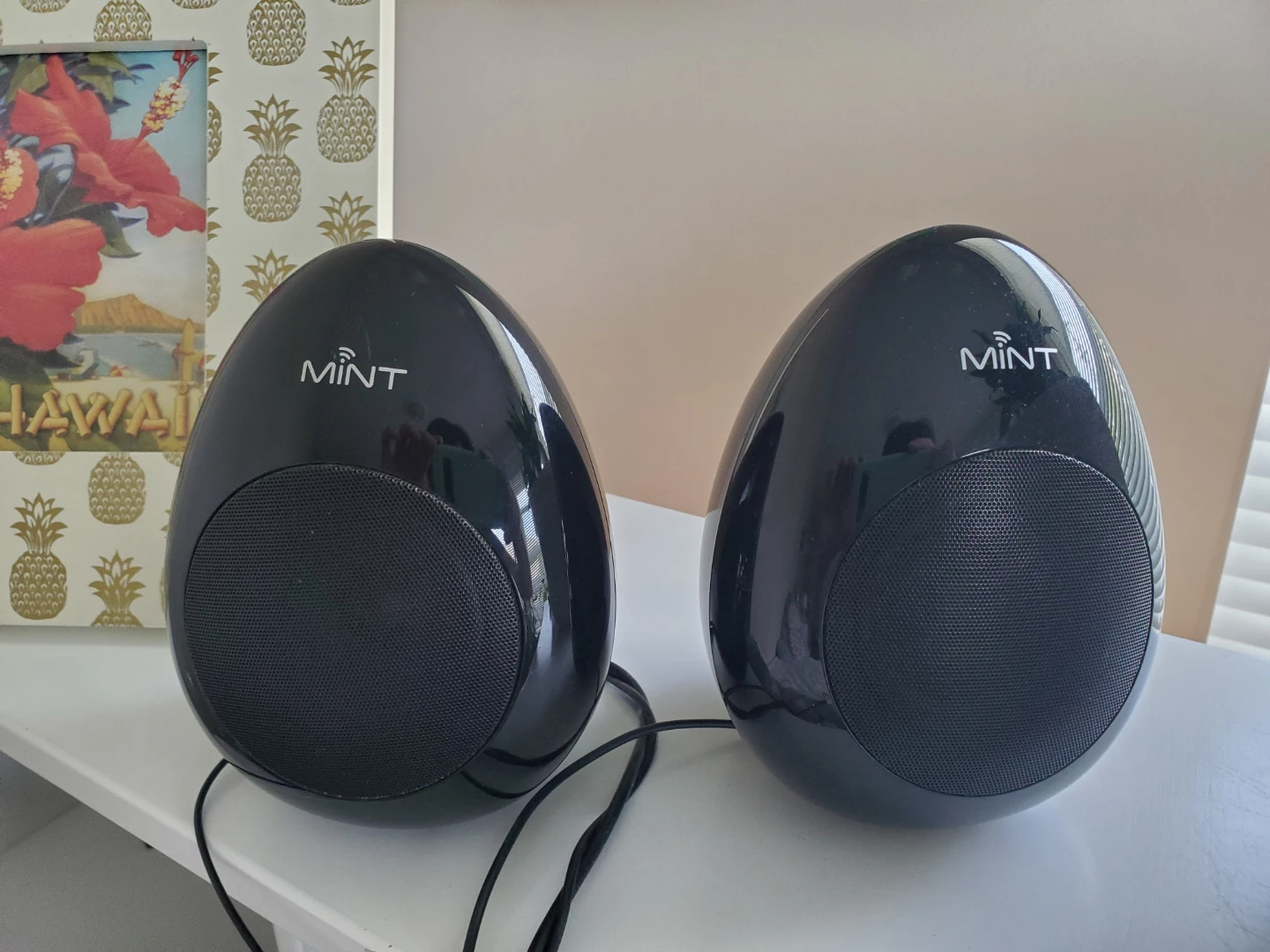 Mint Black Egg Shaped Computer Speakers - photo 3
