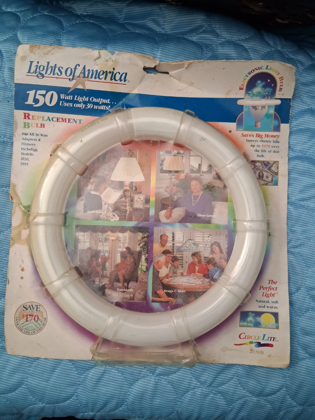 Circle  Light Bulb