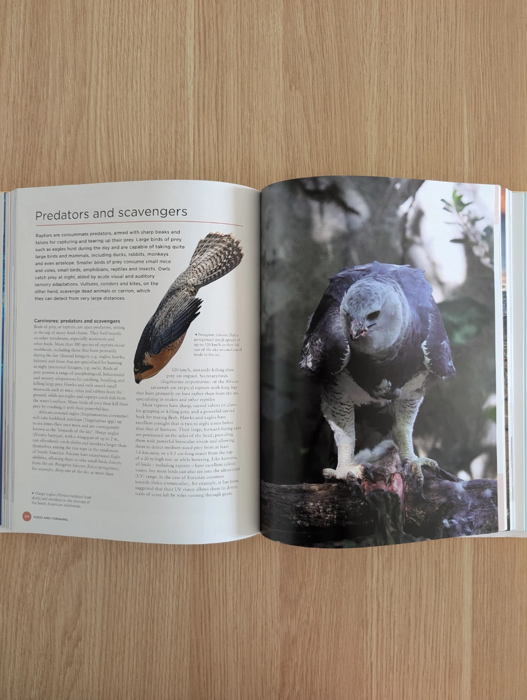 What Is a Bird? Anatomy, Physiology, Behavior, and Ecology book - photo 4