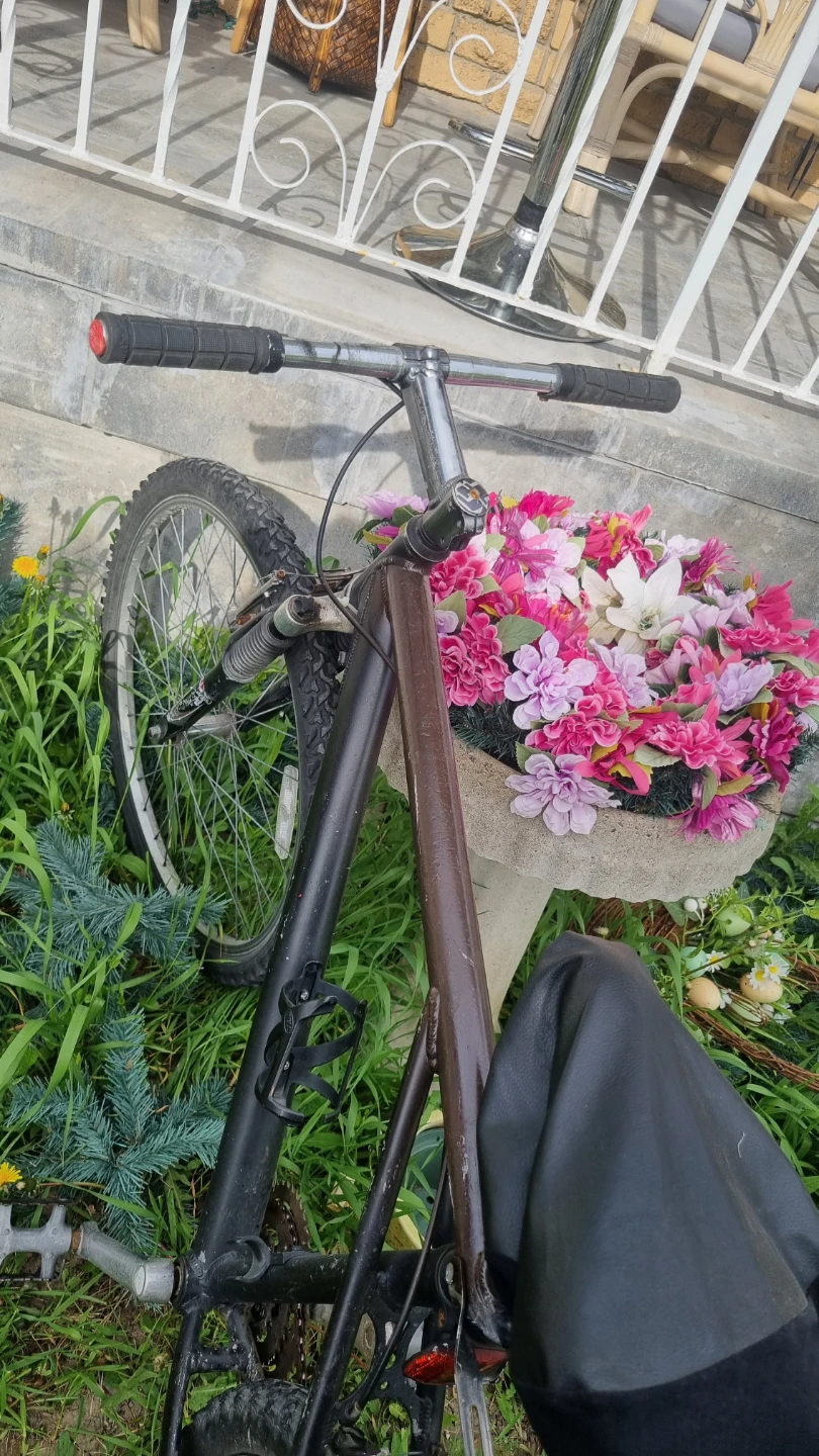 Mountain Bike with Basket