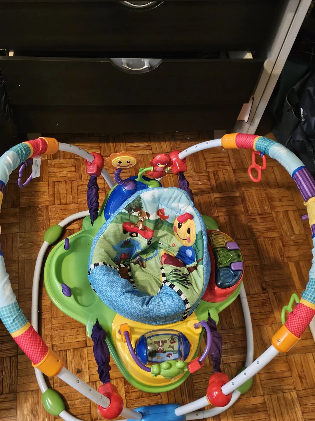 Baby Einstein Activity Jumper