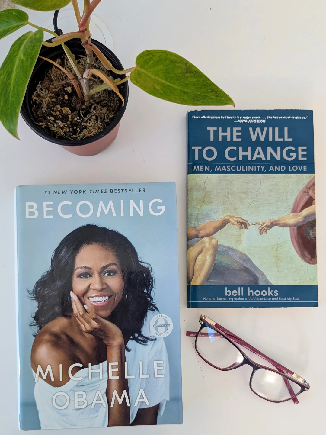 Like New Books: Career, Memoir, Social Justice - photo 3