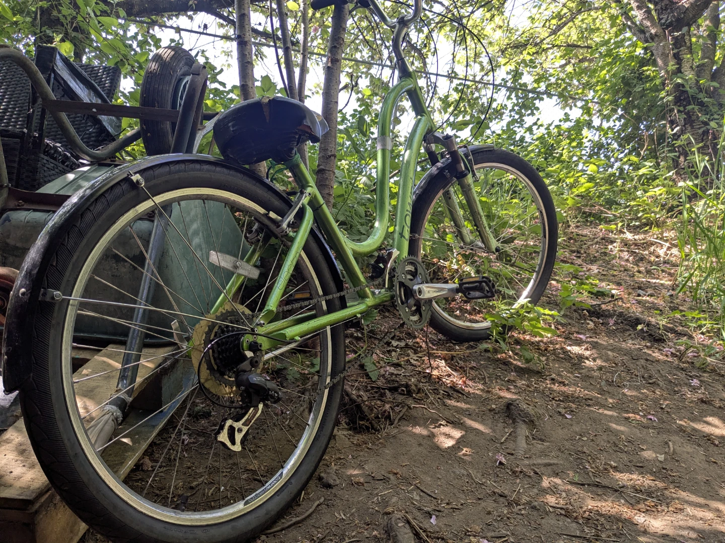 Townie Cruiser Bicycle