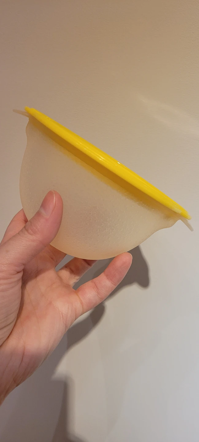 Lemon saver - photo 3