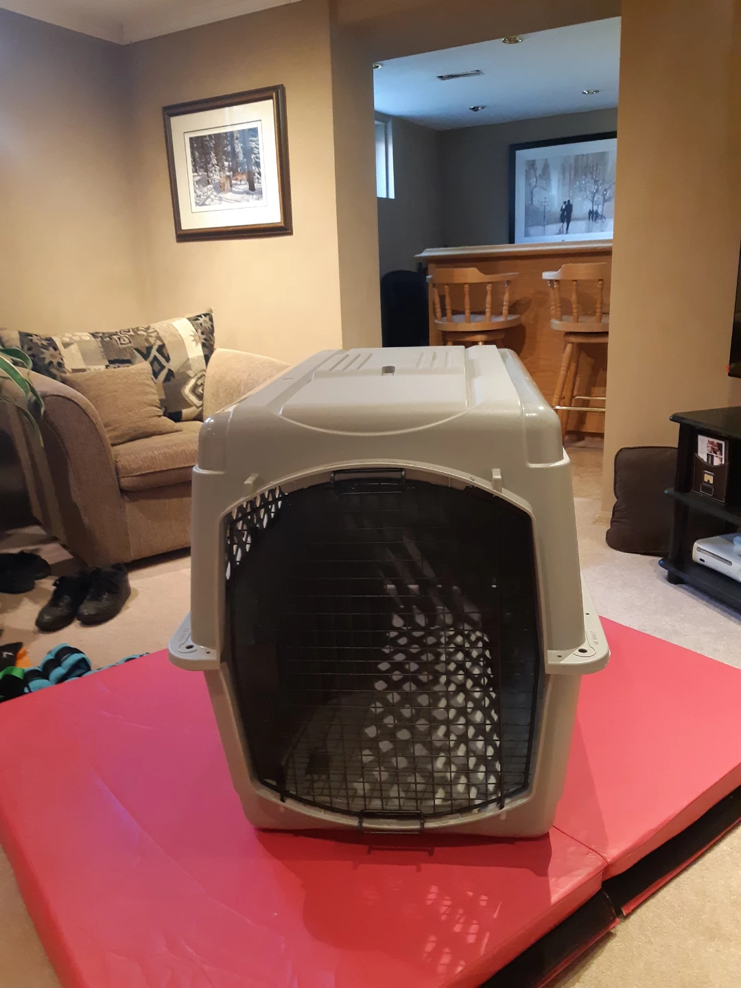 Pet Carrier Crate