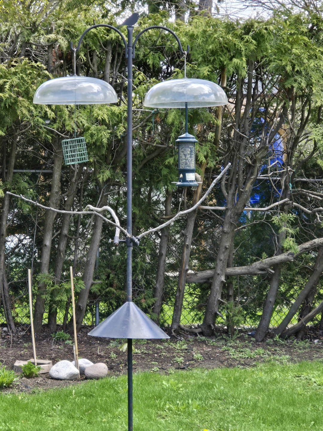 Bird Feeder Station with 2 Feeders and Squirrel Baffles - photo 2
