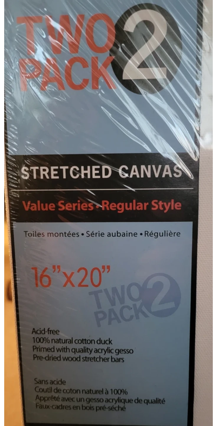Currys 2-Pack  Stretched Canvas 16"x20"