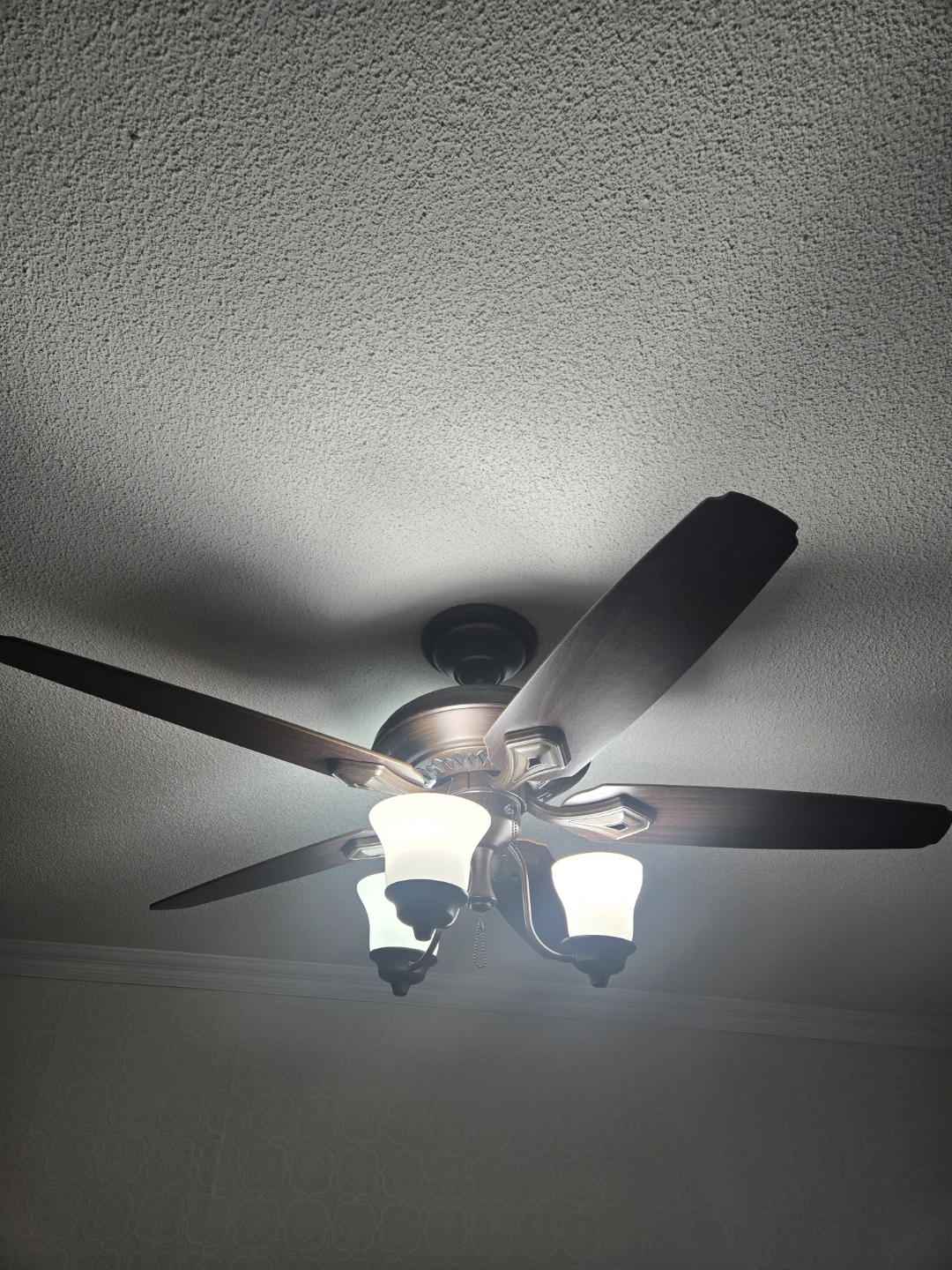 Ceiling Fan with Lights