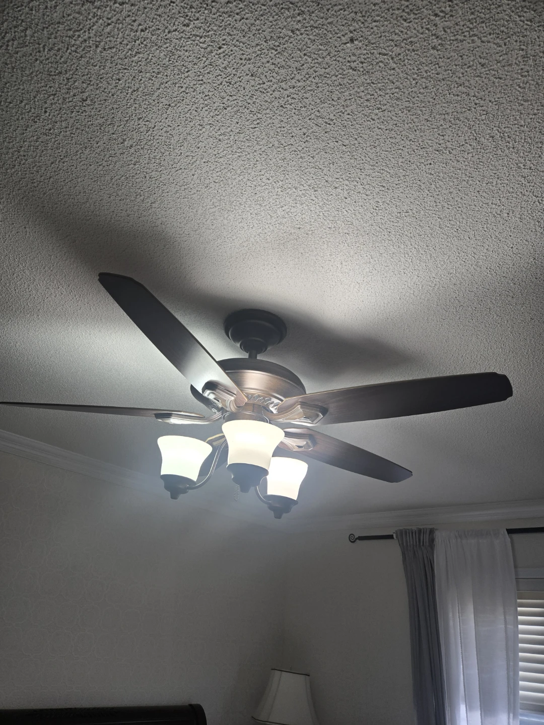 Ceiling Fan with Lights - photo 2