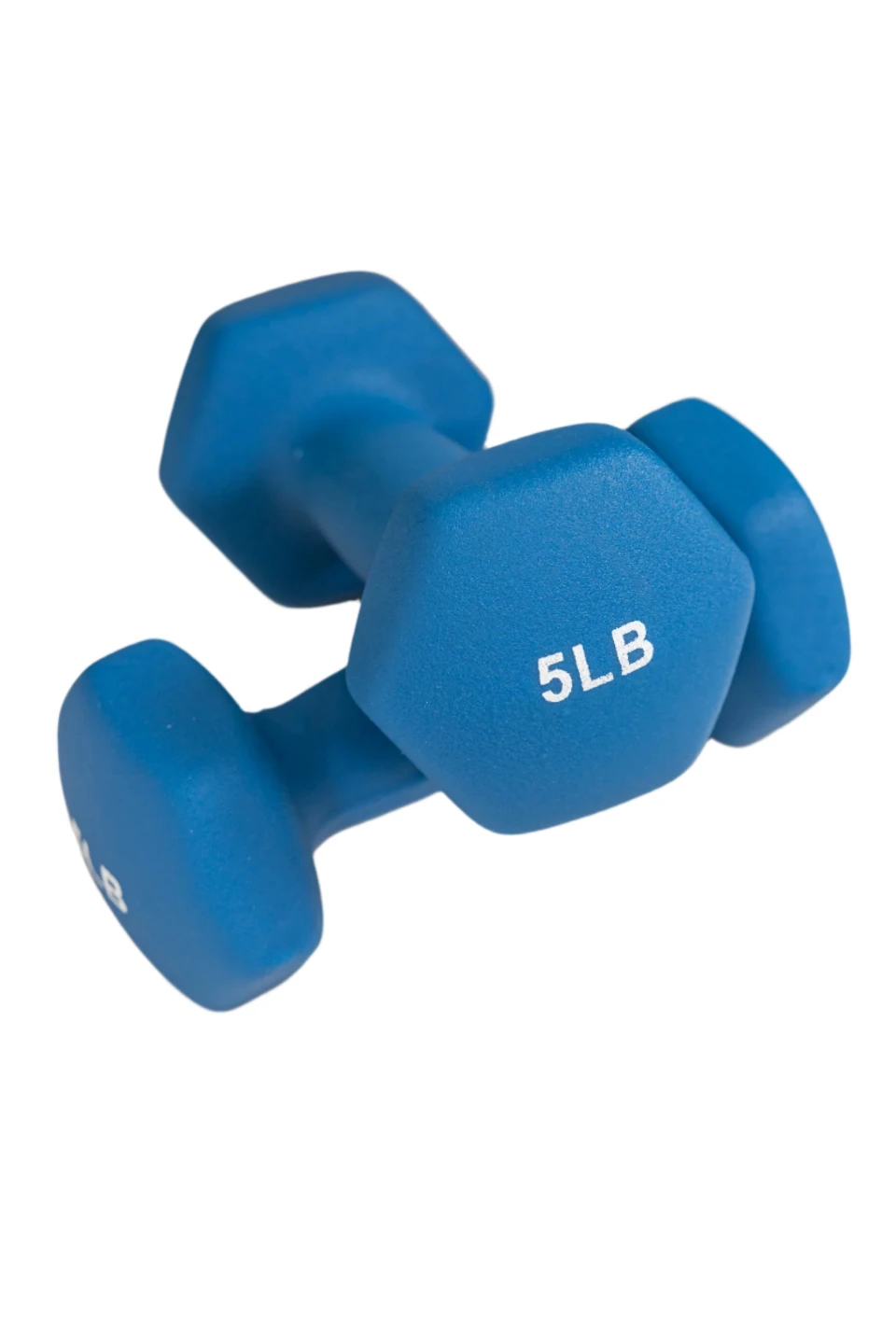 Blue 5lb Dumbbells (Pair)