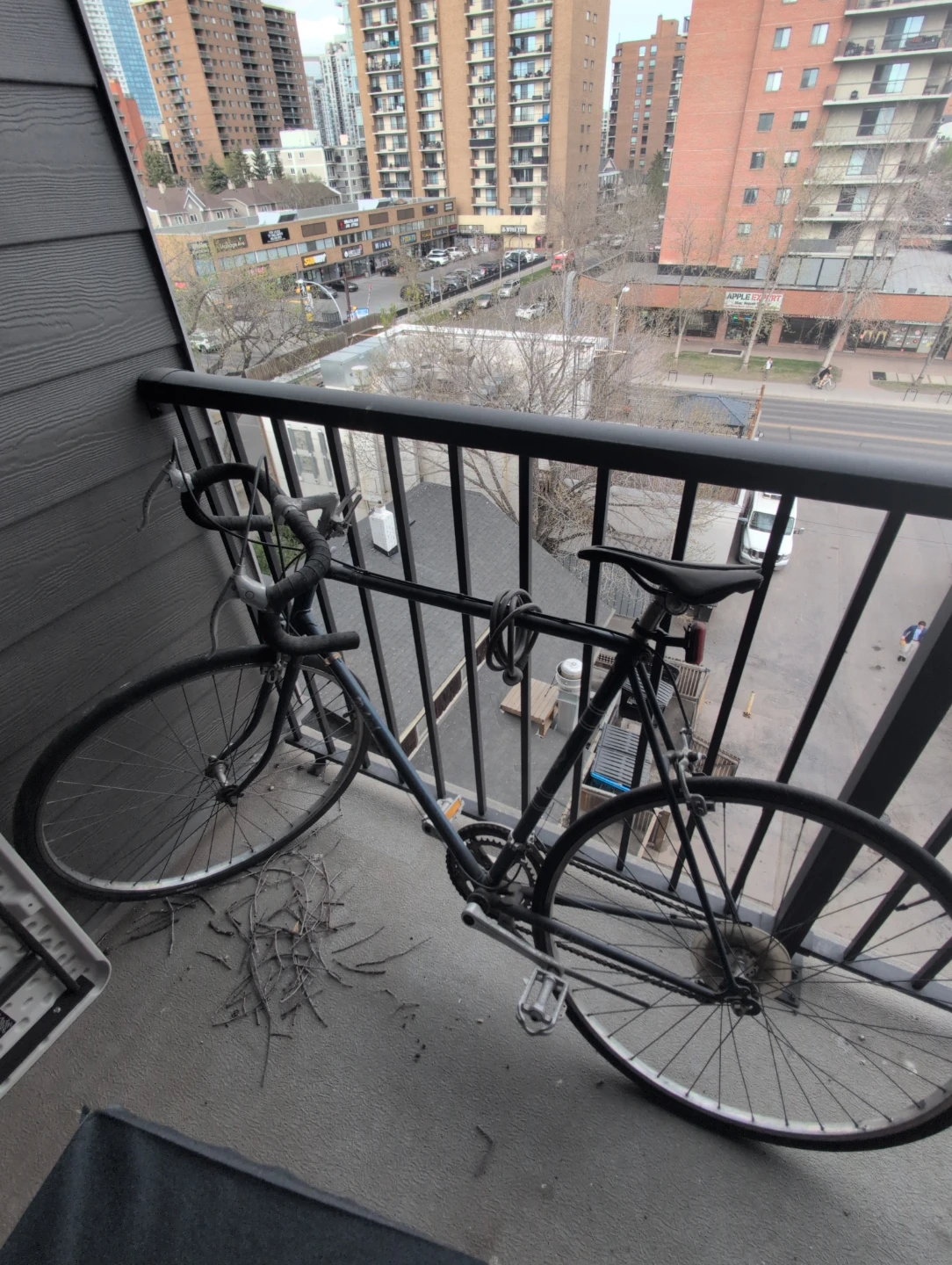 Raleigh Men's Road Bike