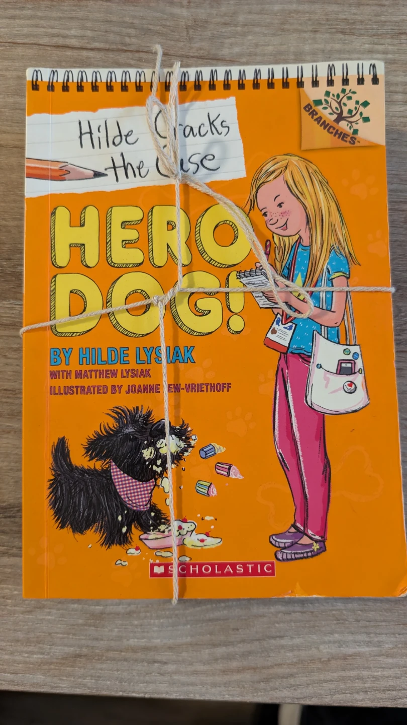 Hilde Cracks the Case Book Series