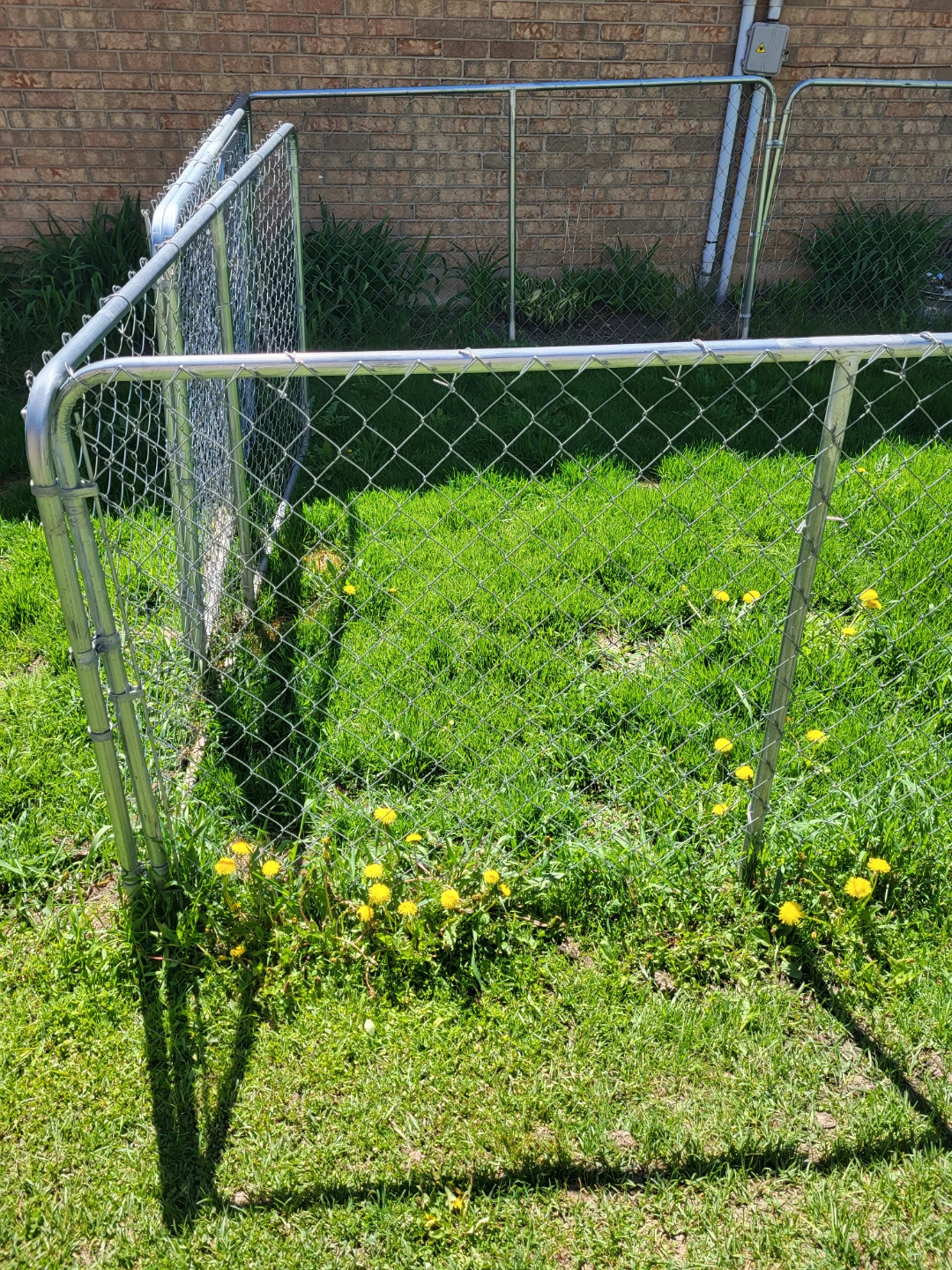 4 ' Galvanized chainlink dog kennels (3)