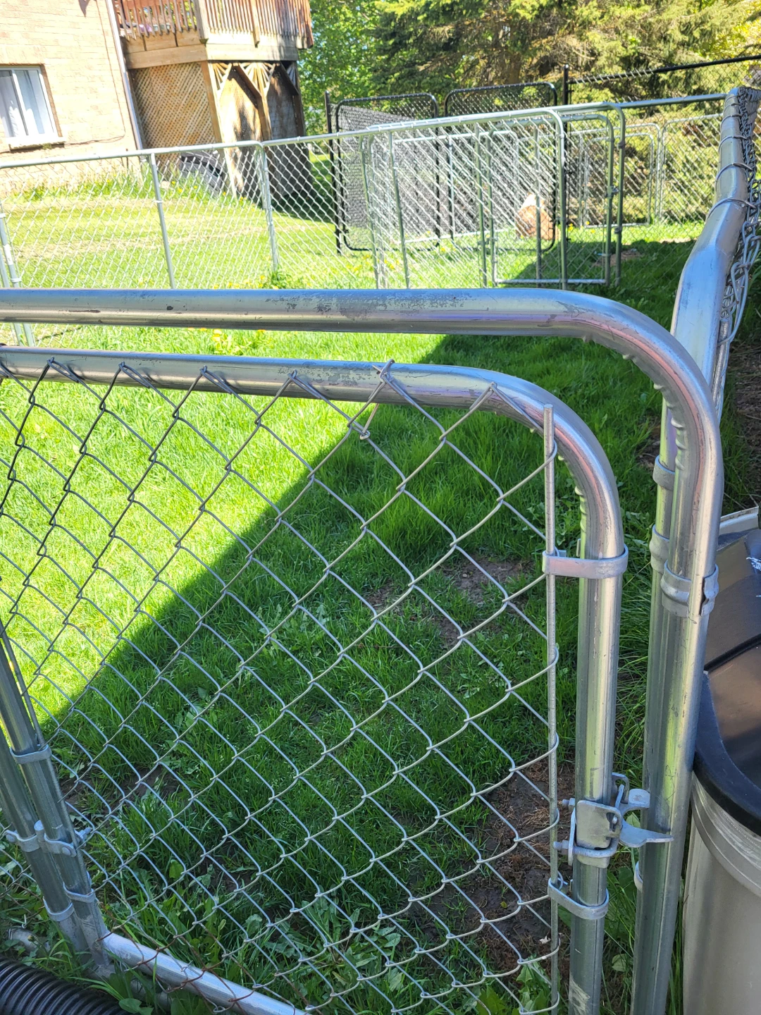 4 ' Galvanized chainlink dog kennels (3) - photo 3