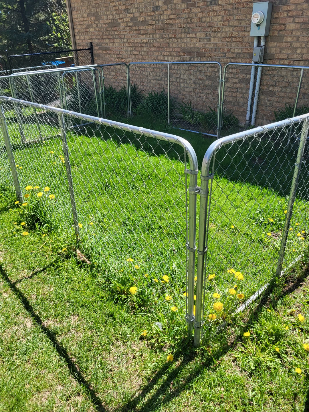 4 ' Galvanized chainlink dog kennels (3) - photo 4