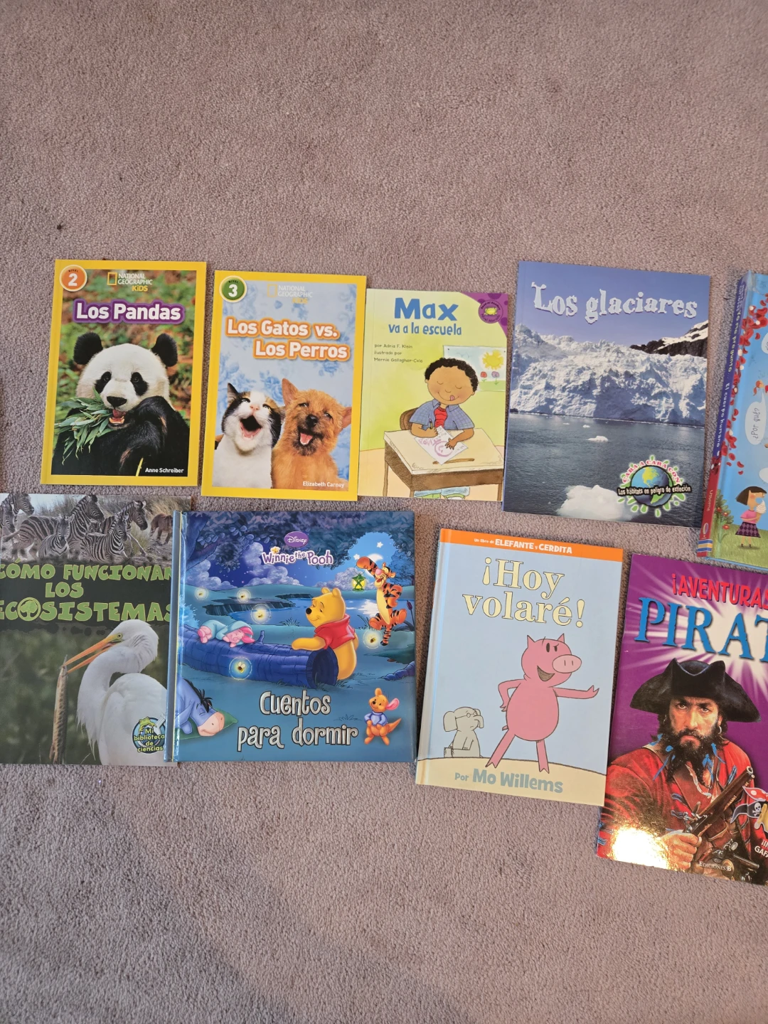Spanish Children’s Book Bundle - photo 2