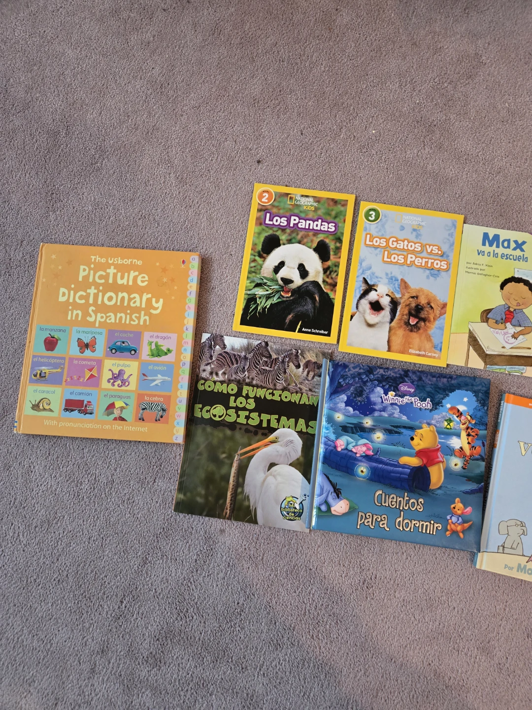 Spanish Children’s Book Bundle - photo 3