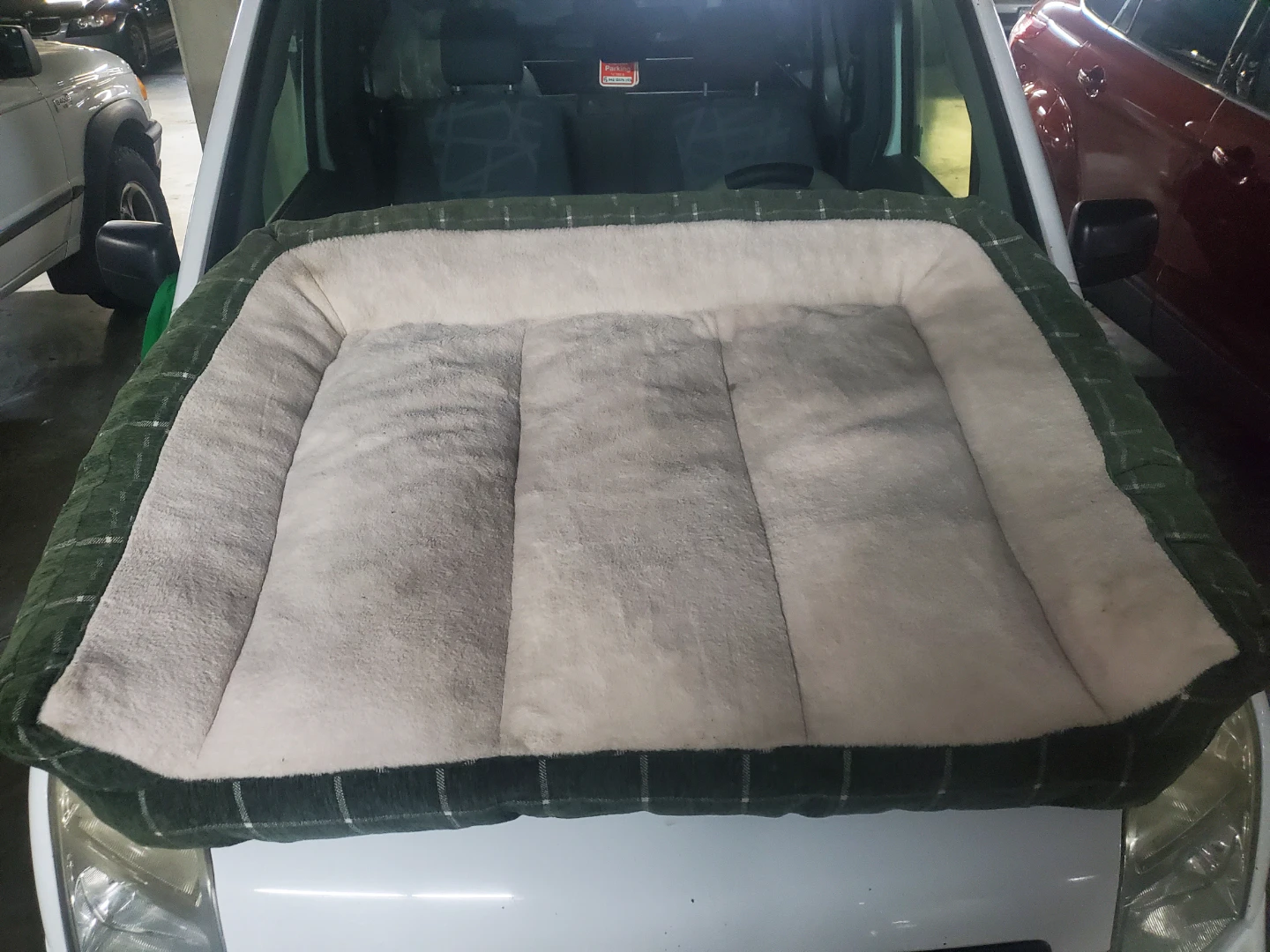 Pet Bed Size 9, extra large for large dogs