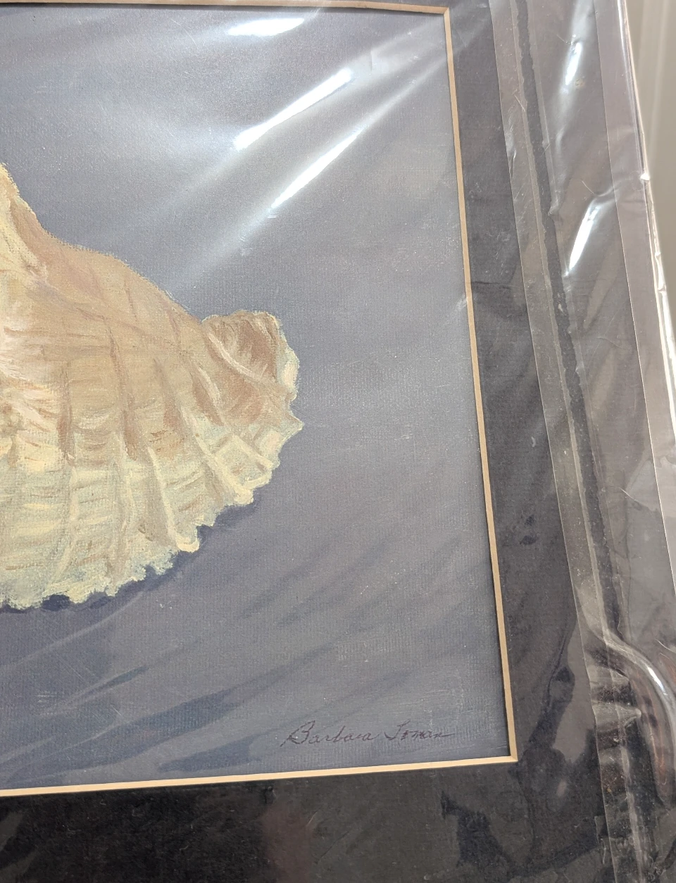 Sea Shell Print with Mat - photo 4