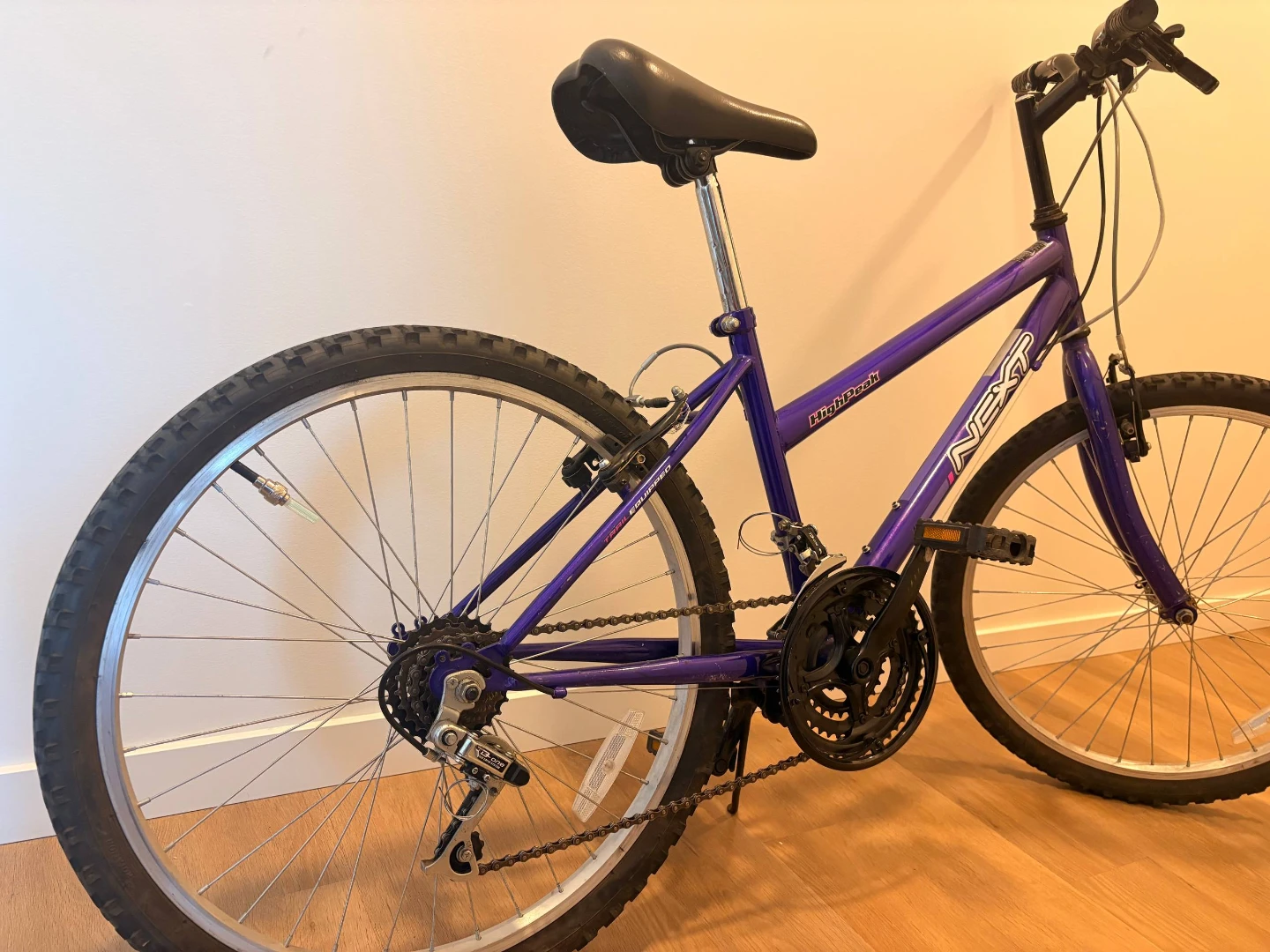 Next HighPeak Purple Mountain Bike