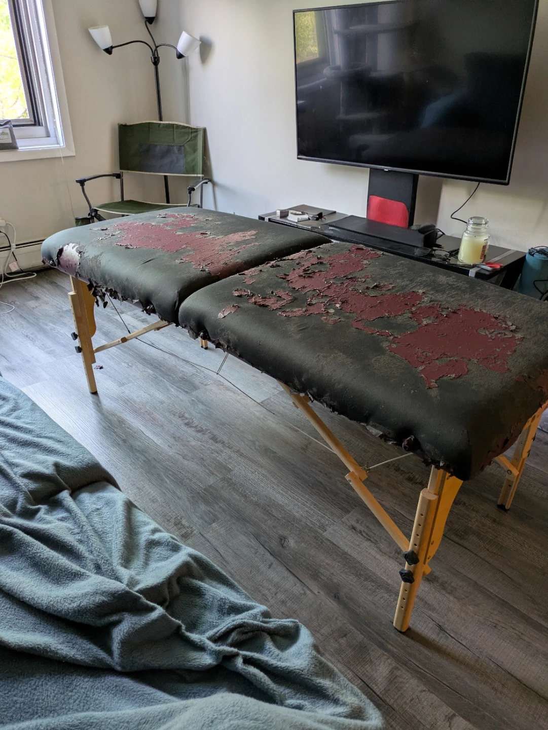 Stronglite Professional Massage Table