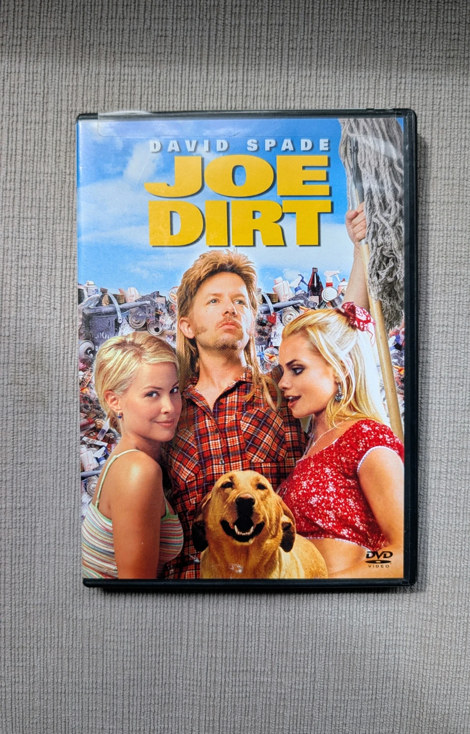 Joe Dirt DVD