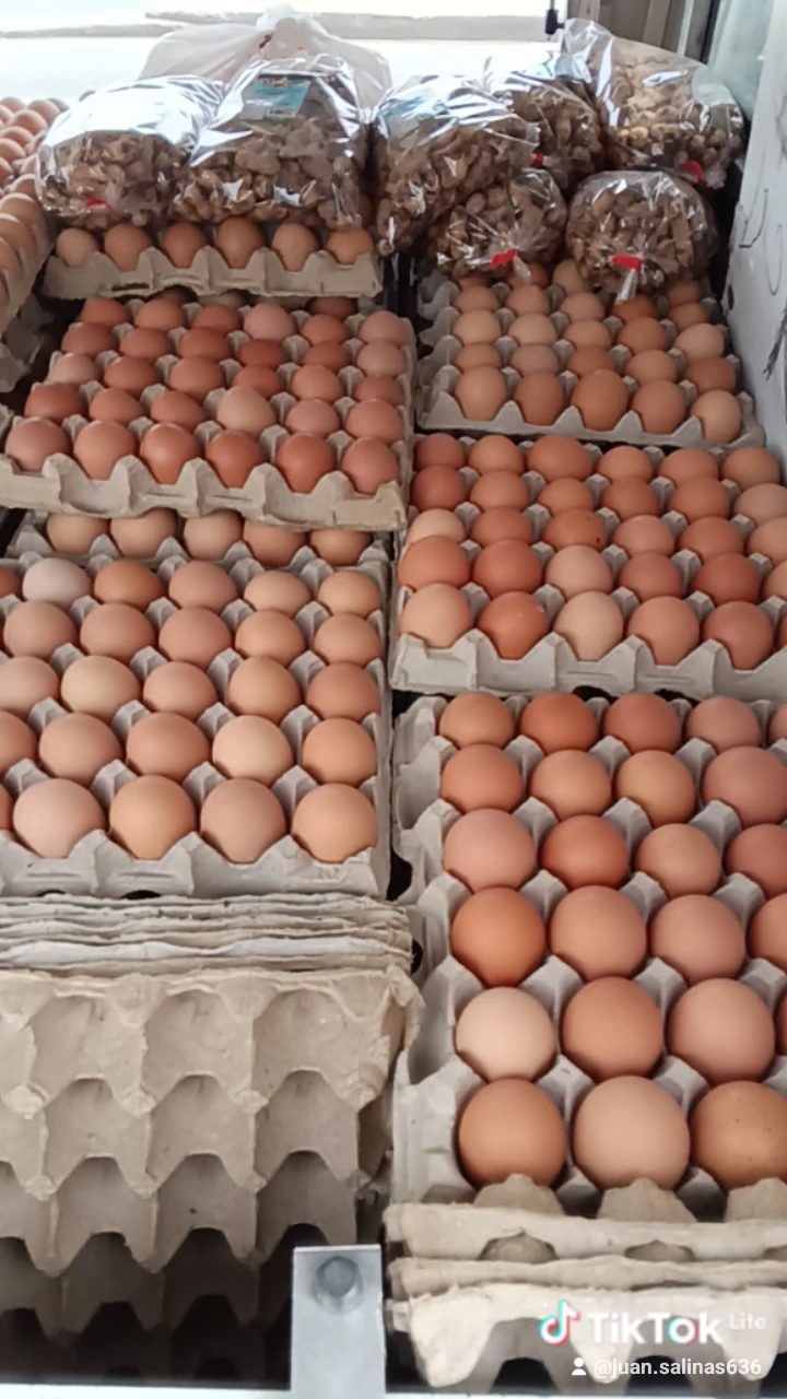 Farm Fresh Brown Eggs