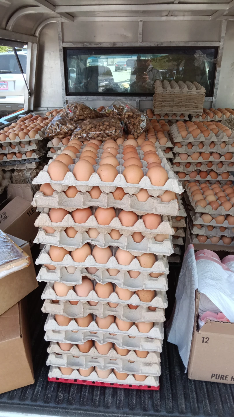 Farm Fresh Brown Eggs - photo 2