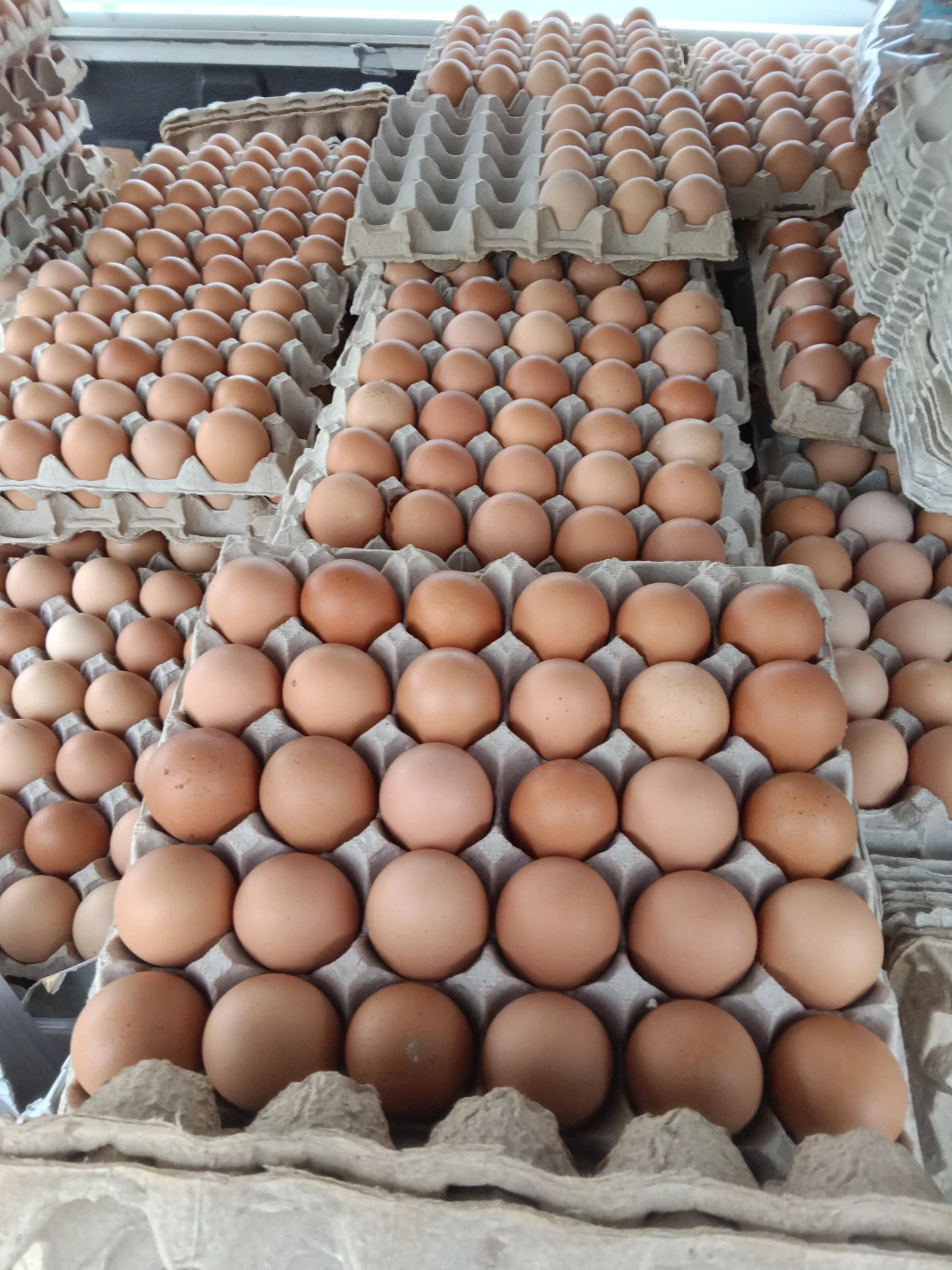 Farm Fresh Brown Eggs - photo 4