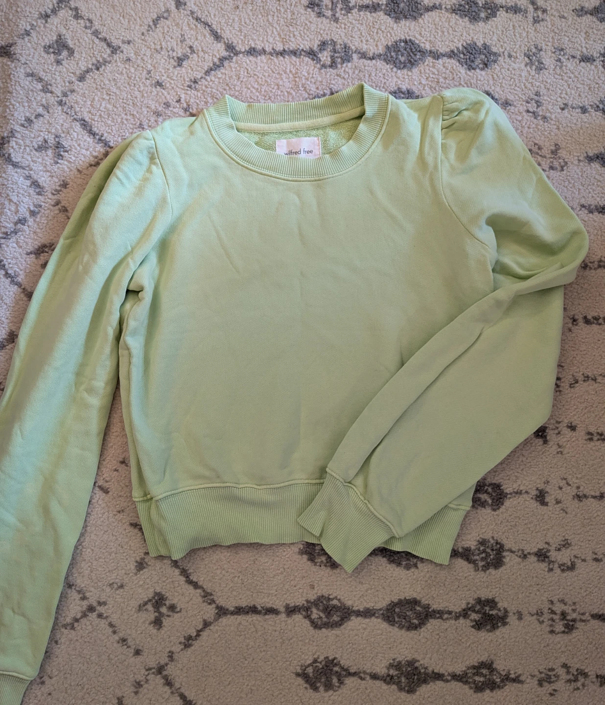 Aritzia Pullover Sweatshirt