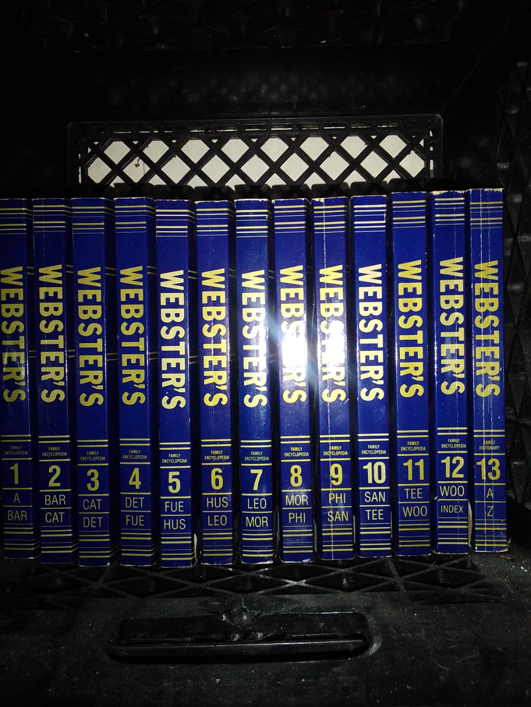Webster's Family Encyclopedia Set Volumes 1-13