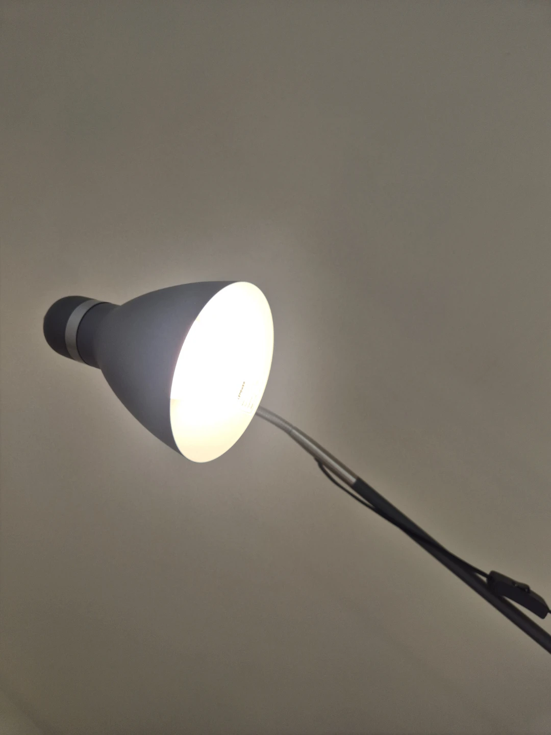 Modern Floor Lamp with Flexible Neck - photo 2