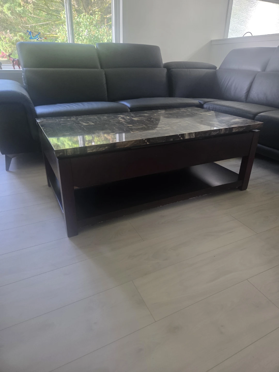Lift Top Coffee Table with Storage