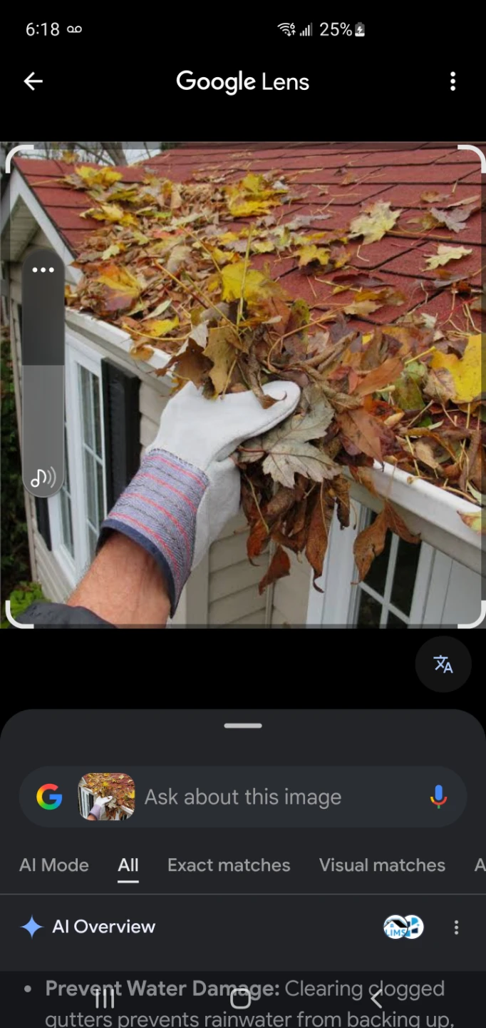 Eavestrough and gutters cleaning