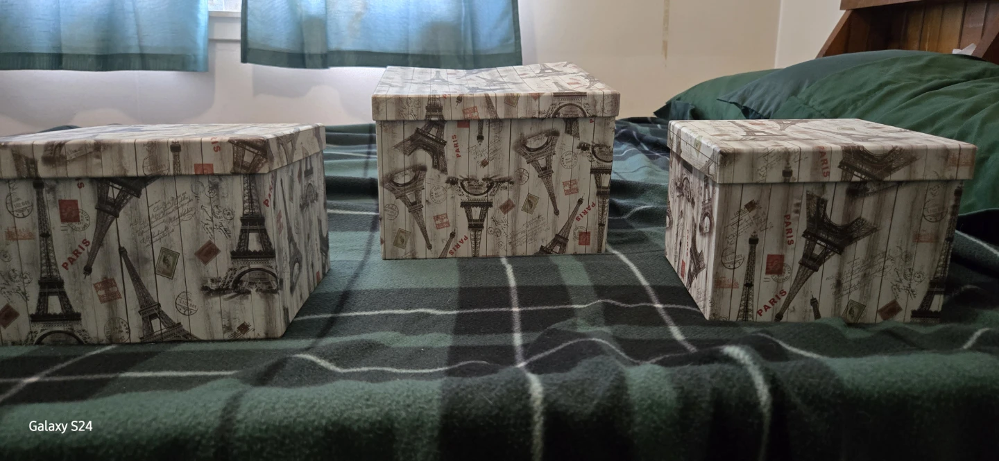 Set of 3 Decorative Storage Boxes