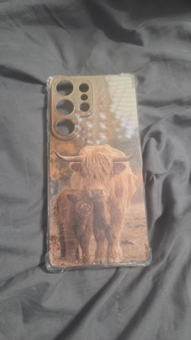 Highland Cow Phone Case