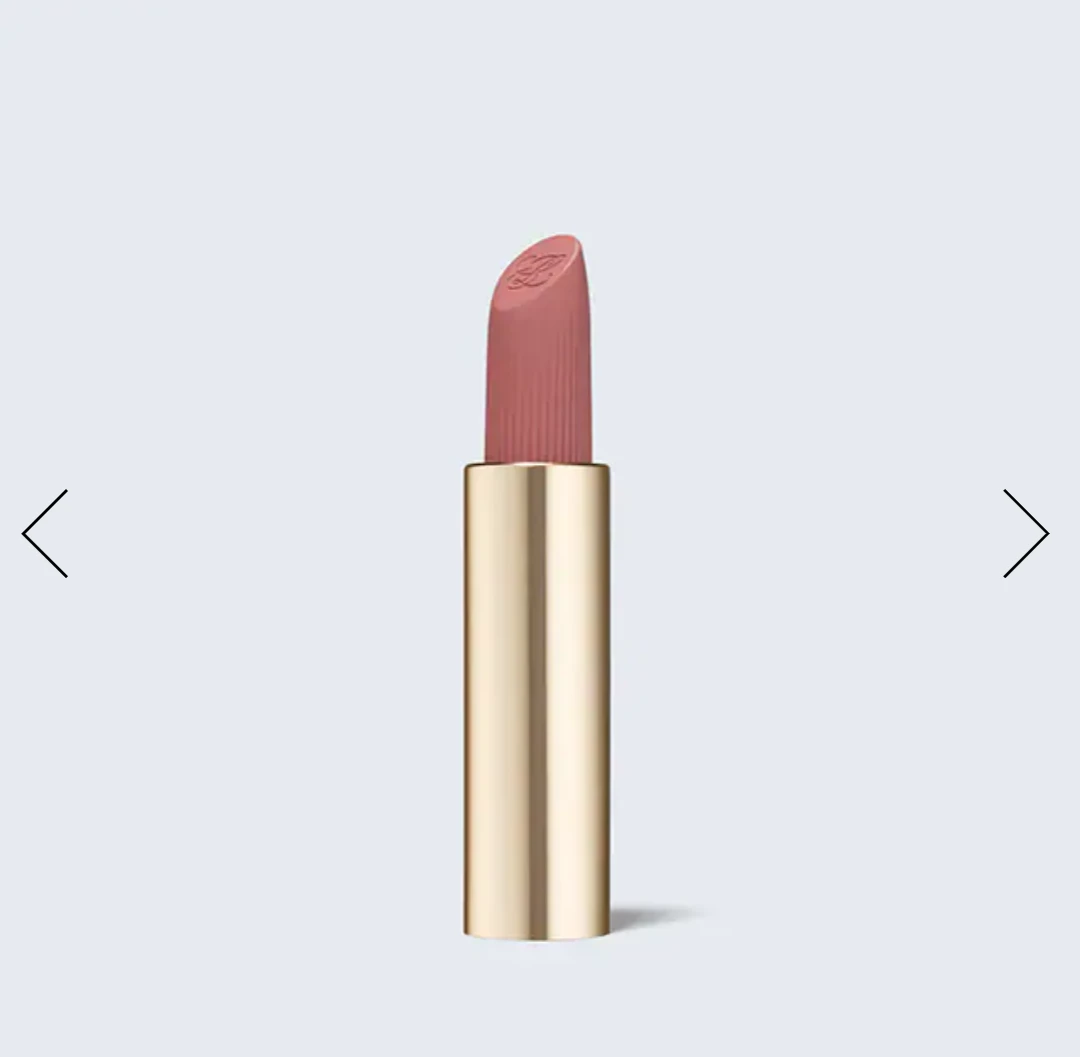 (NEW) 💋 Estee Lauder (836) Pure Color Matte REFILL Lipstick