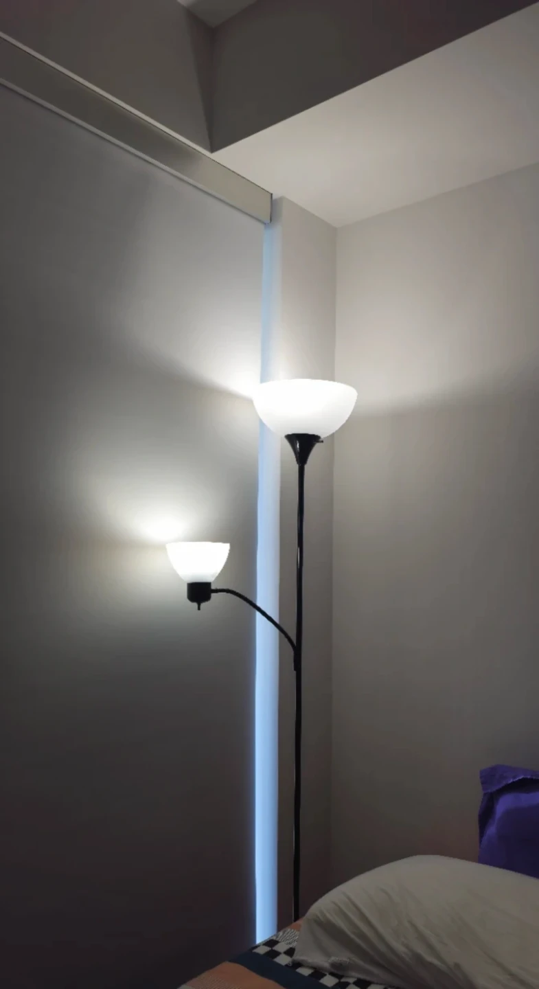 Black Floor Lamp with Adjustable Reading Light