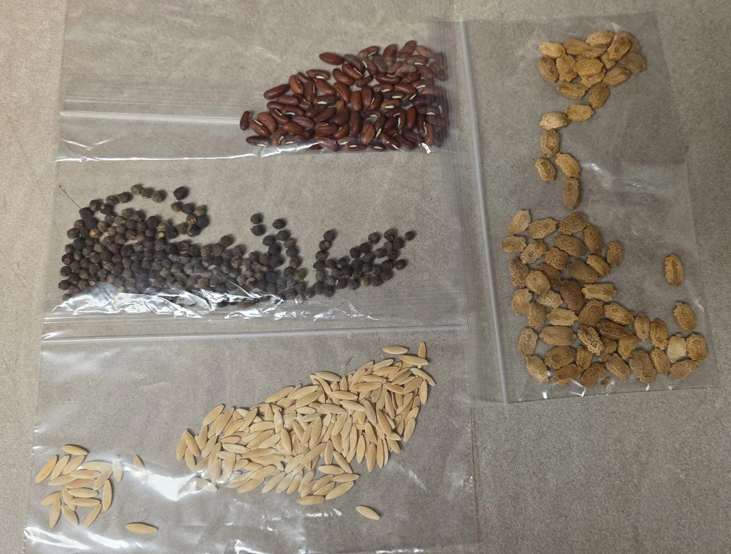 Assorted Vegetable and Bean Seeds