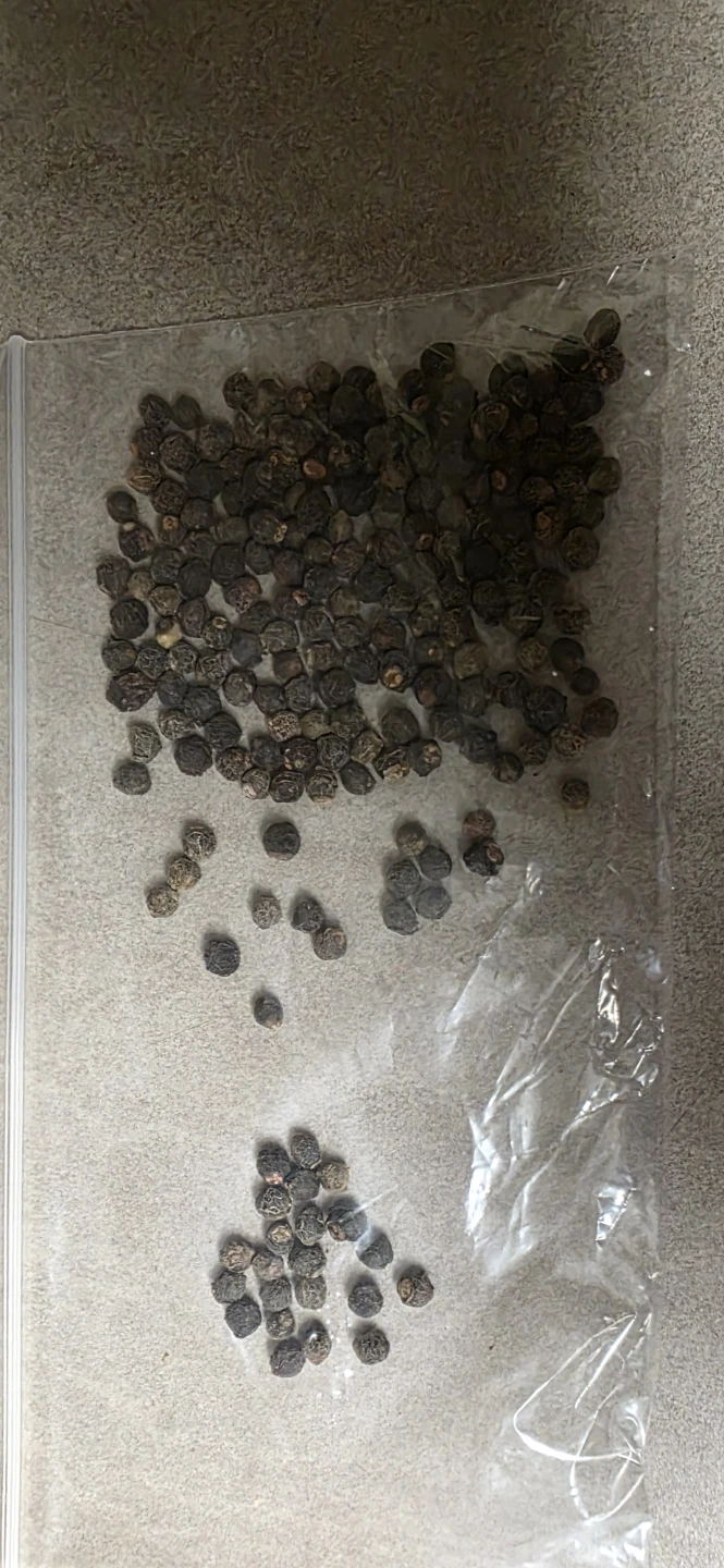 Assorted Vegetable and Bean Seeds - photo 4